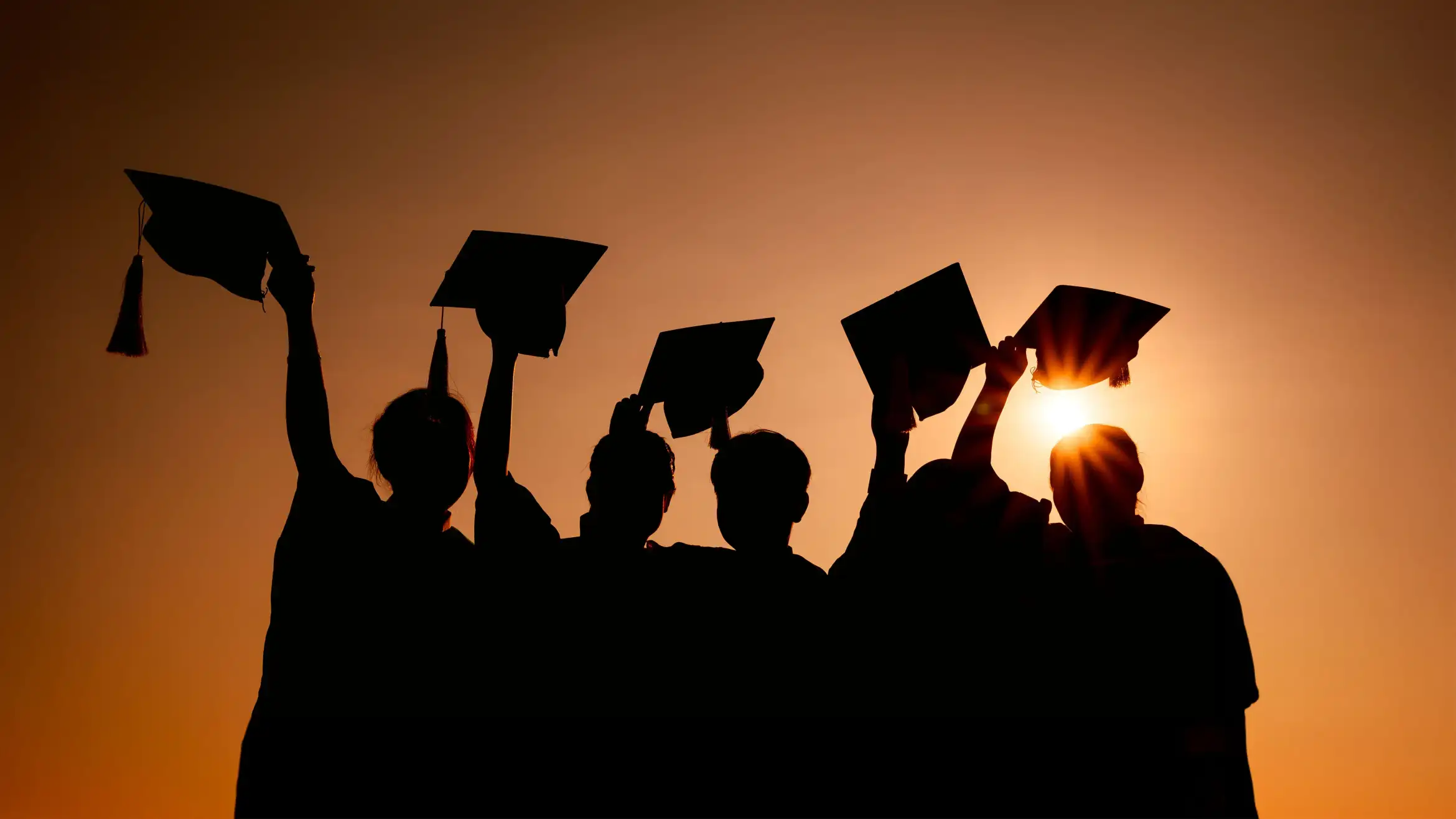 Specialized Institutes