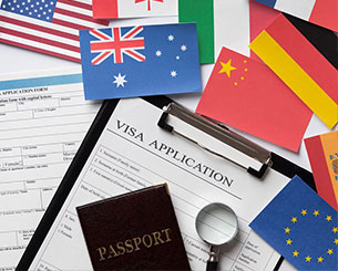Visa Application